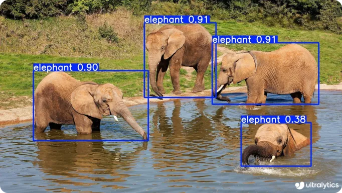 Vision Language Model
